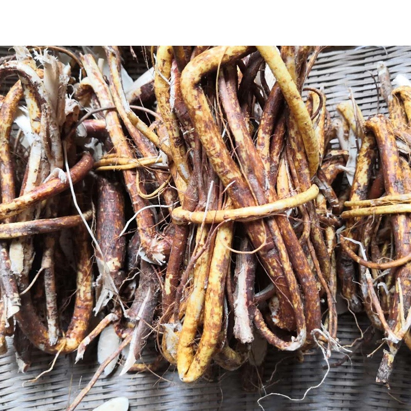 虎钢馋农家五指毛桃根椰奶香浓郁广东煲汤干货食材煲汤料500g