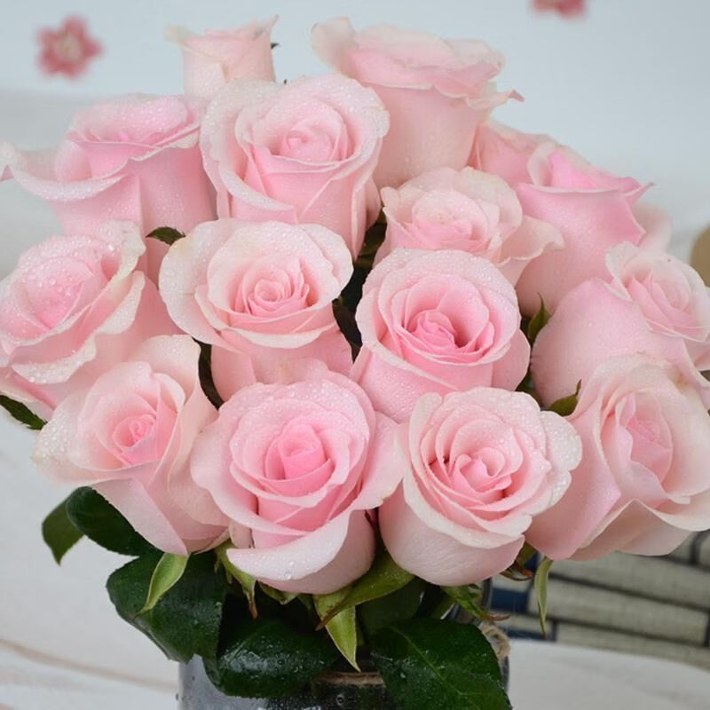 花束香槟鲜切花多头玫瑰家用基地速递新品 粉色玫瑰现采(16枝赠4枝