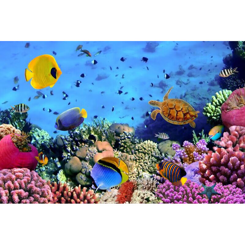 子木雅居动物海报 海底海报画大海鱼海豚海边风景图片沙滩海景船 01