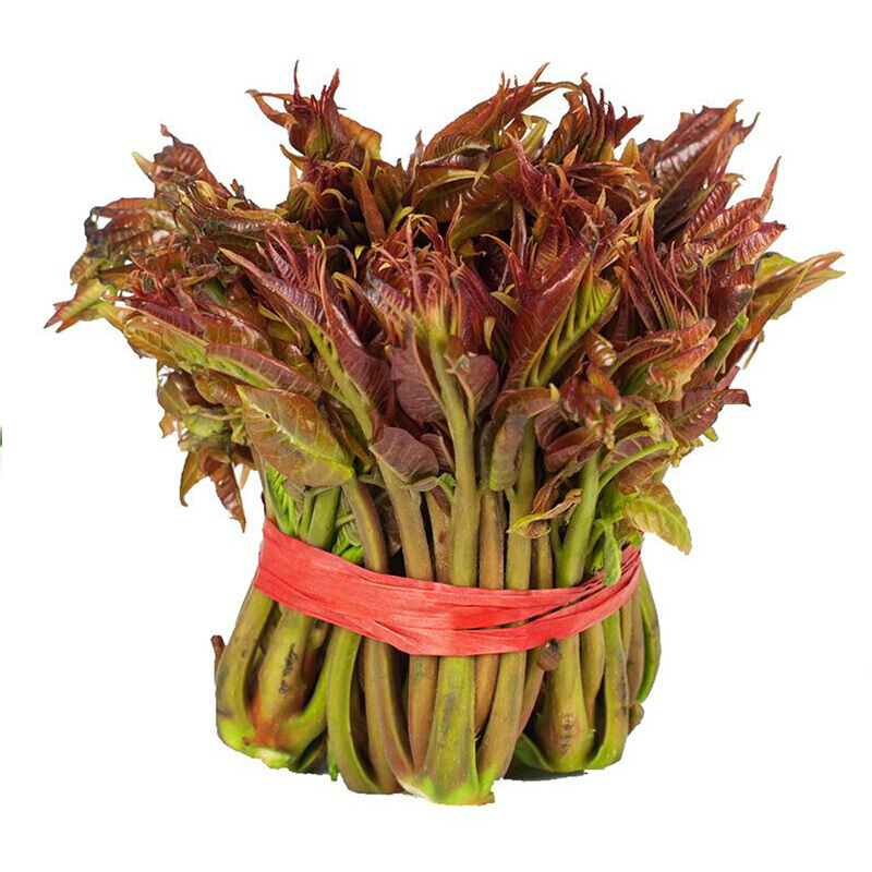 棠鲜生  新鲜红香椿芽嫩芽 头茬香椿嫩芽嫩叶香椿菜 2kg