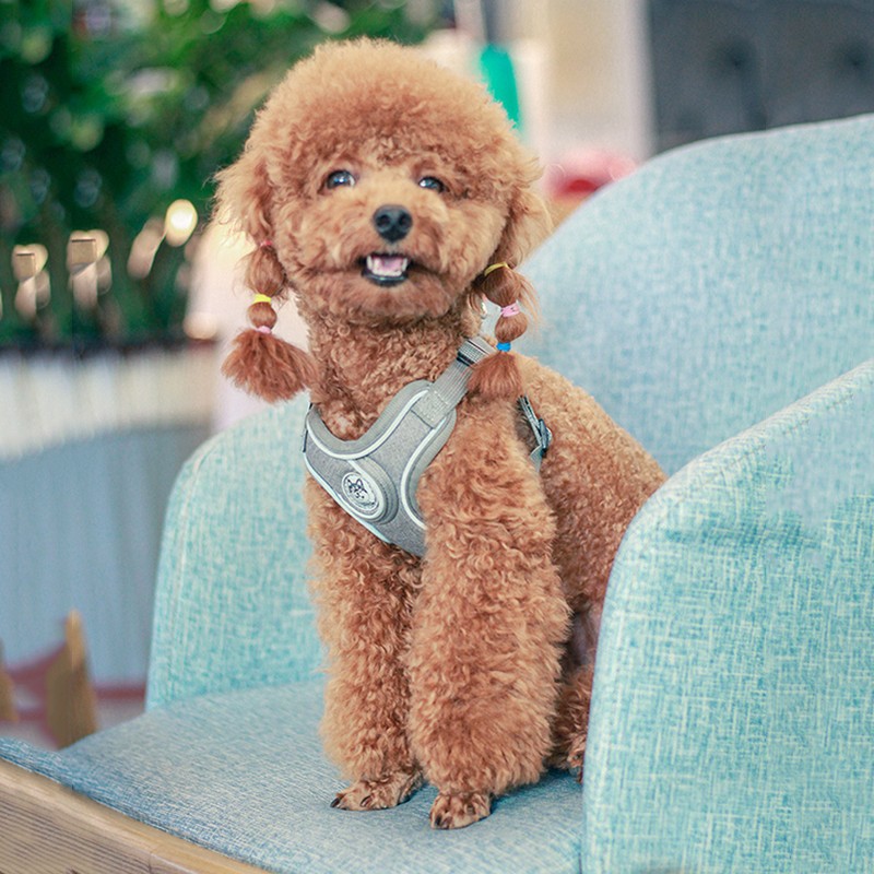 SLPC狗狗胸背带背心式小型犬牵引法斗泰迪柯基胸背中型犬遛狗绳背带 送1.5米原配绳/天空蓝 M/胸围50-62cm/约15-28斤