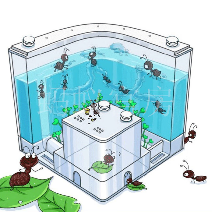 凭霄生态箱蚂蚁巢穴试管巢蚂蚁城堡盒子巢穴窝地下蚁巢平面王国太空舱
