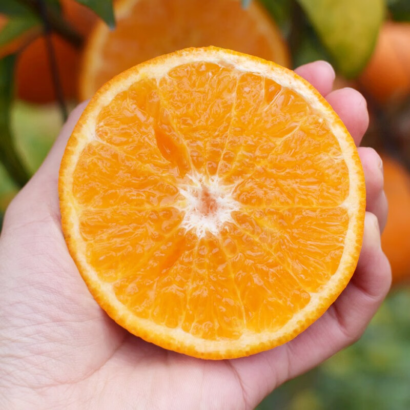 看桔橘历史价格|桔橘价格历史