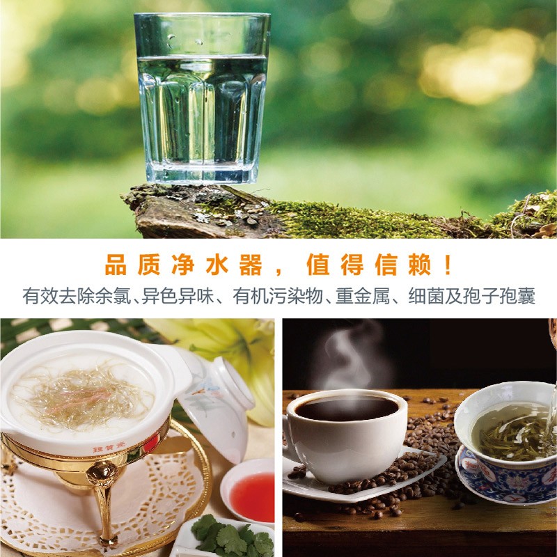 CILLIT 水丽欧洲原装进口厨房净水器厨下台下式净水机家用厨房矿物质超滤直饮过滤Energy 整机 橙色 Pure Energy