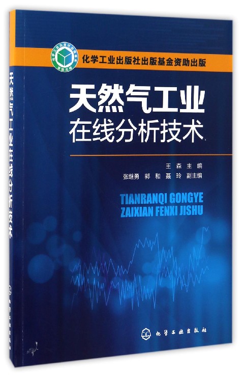 天然气工业在线分析技术