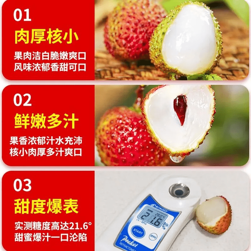 译蒙之味【顺丰冷链】海南妃子笑荔枝新鲜当季水果孕妇桂花老树大荔枝 净重4.5-5斤大果【精选装】顺丰冷链