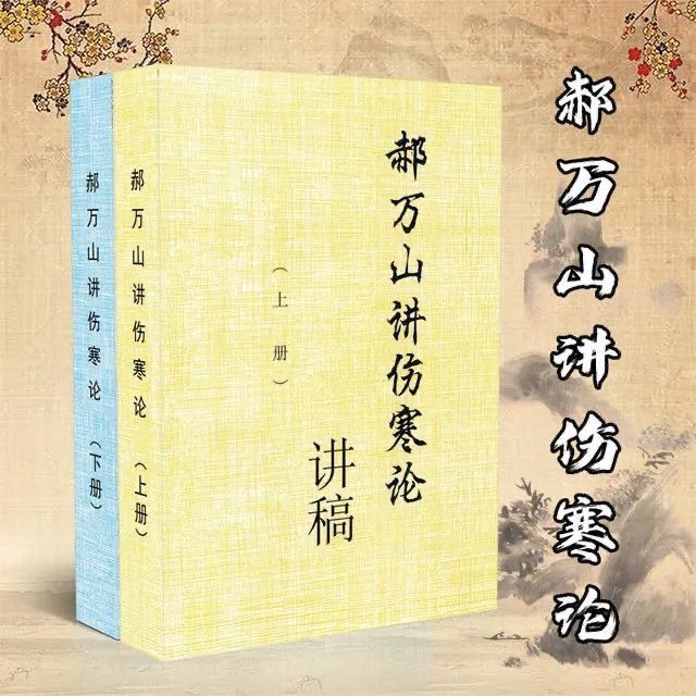 郝万山伤寒论讲稿70讲视频同步 上、下册配套网盘视频 赫万山伤寒论讲稿上下册2本