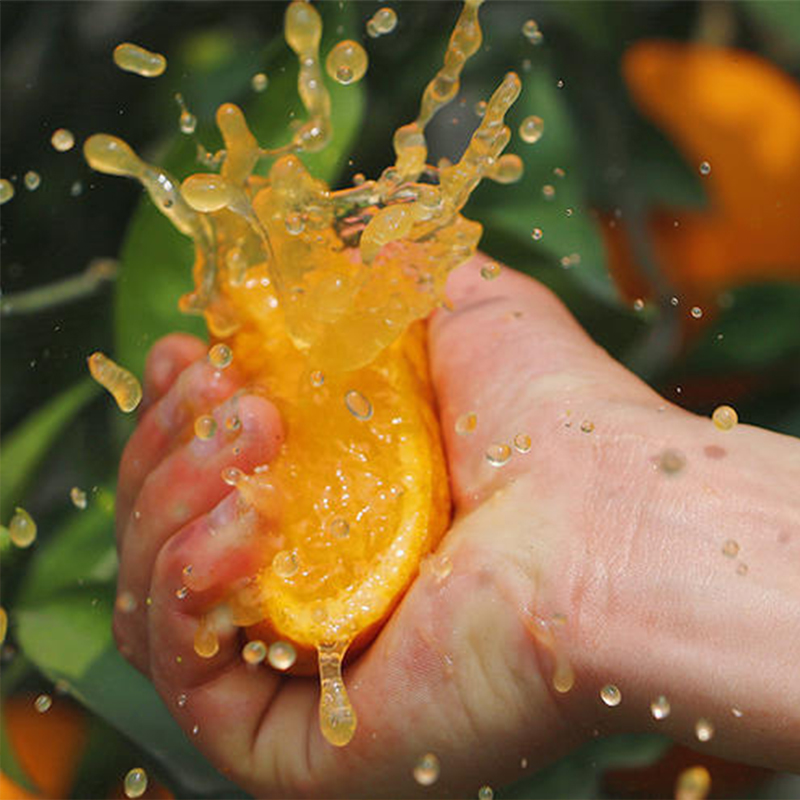 京世泽 四川青见柑橘橙 新鲜当季水果 橙子 带箱约10斤65-70mm净重8-9斤