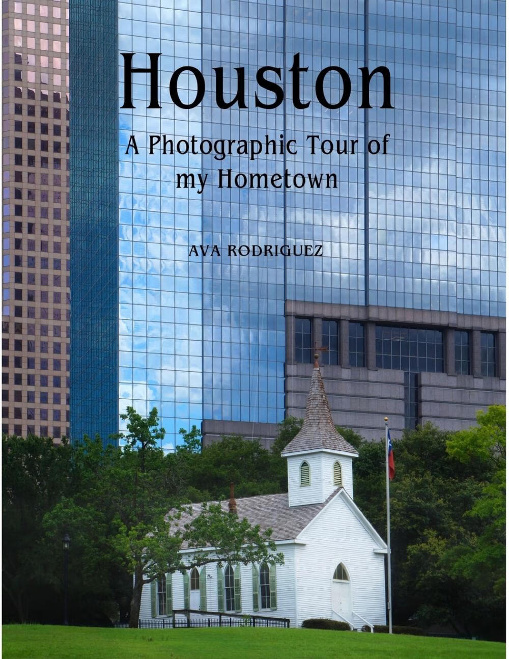 【预售 按需印刷】houston