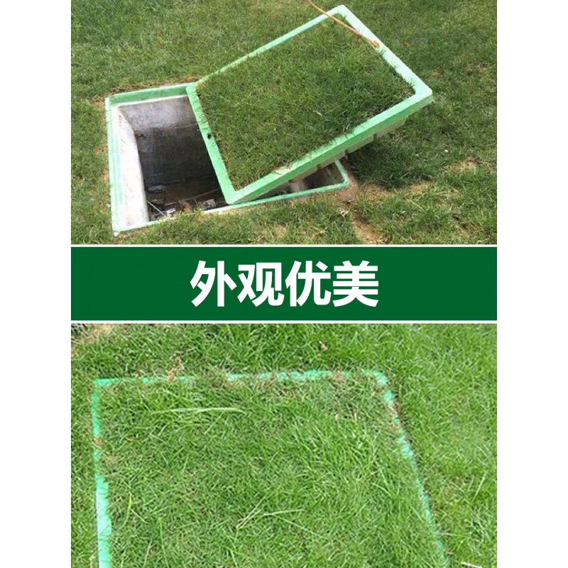 smc草盆井盖 植草绿化装饰草坪隐形井盖树脂 家用庭院下沉式 定制产品