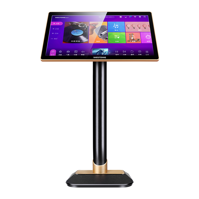 三,威斯汀(westding)ok-189ktv音响网友对比评测