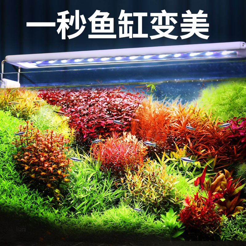 藻灯 相关京东优惠商品排行榜 4 价格图片品牌优惠券 虎窝购