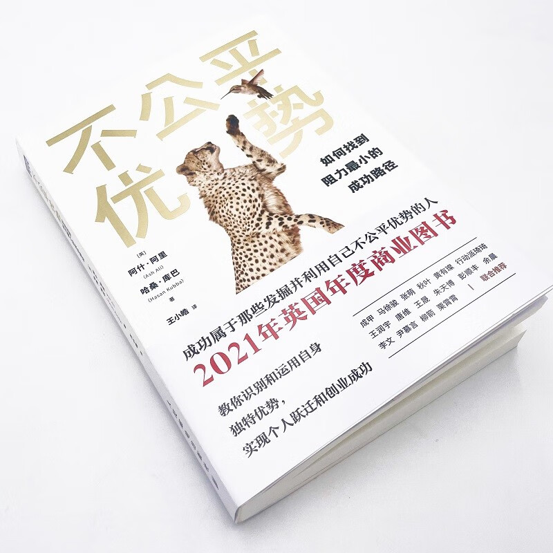 不公平优势：如何找到阻力最小的成功路径（图灵出品）详情图