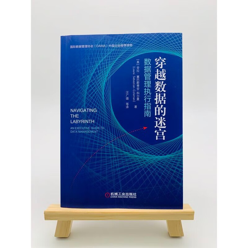 企业数据治理那些事+DAMA数据管理知识体系指南（原书第2版）+穿越数据的迷宫数据管理执行指南 3本套 数据管理&治理用书