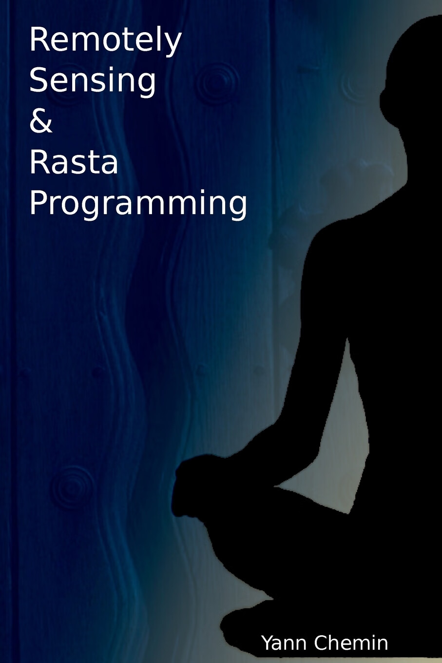 【预售 按需印刷】remotely sensed & rasta programming