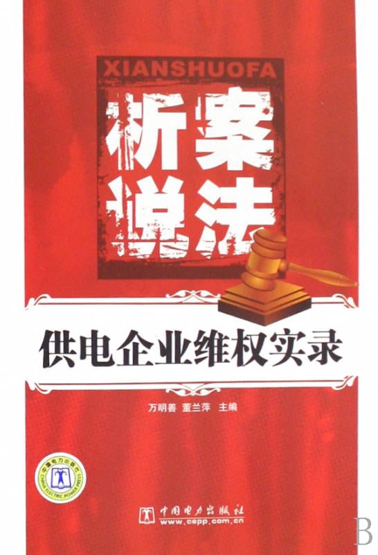 析案说法(供电企业维权实录)