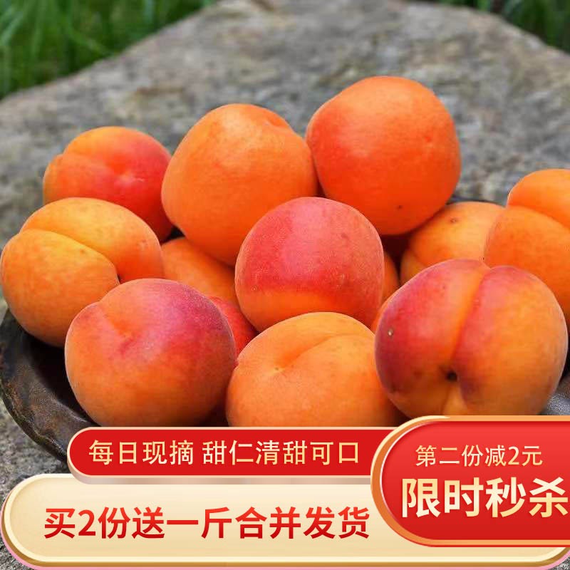 买2份送一斤 新鲜胭脂红杏2斤装 杏 甜核贵妃杏子 新鲜水果