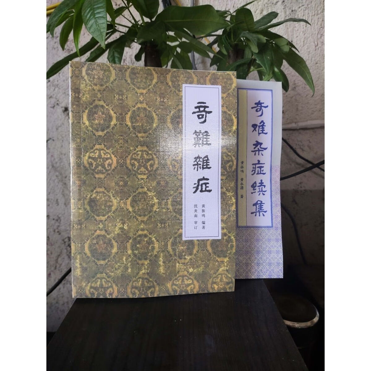 中医医案医话 奇难杂症+奇难杂症续集2本黄振鸣 黄永源1996医案