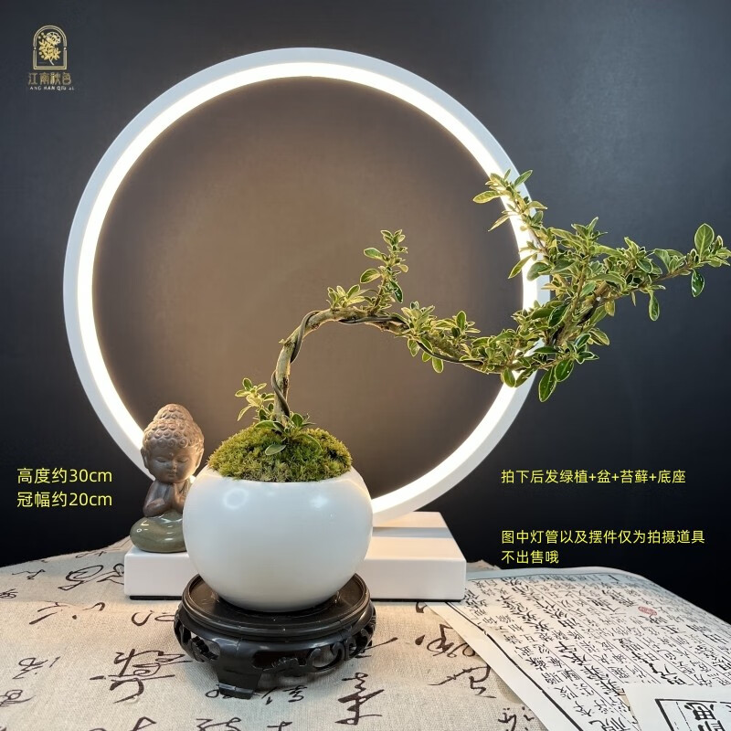 京东新品首发 2023-05-30 - 第3张  | 最新购物优惠券
