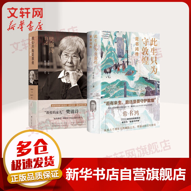 我心归处是敦煌樊锦诗自述此生只为守敦煌虚拟套