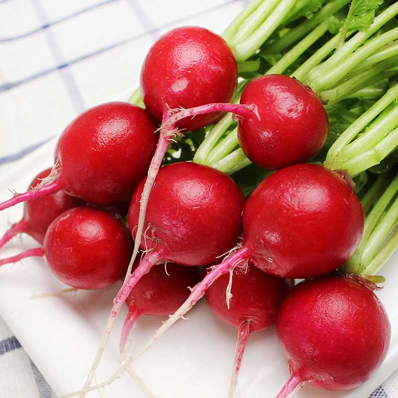舅甜果蔬【顺丰/现挖】东北樱桃小萝卜红色皮甜脆生吃萝卜东北特产