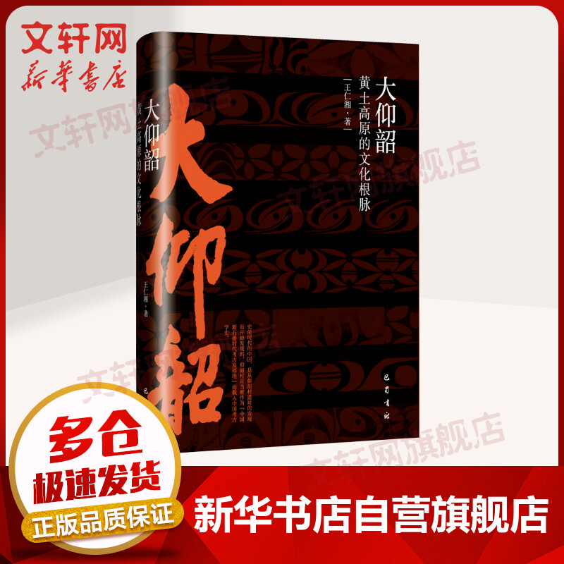 大仰韶 黄土高原的文化根脉 图书