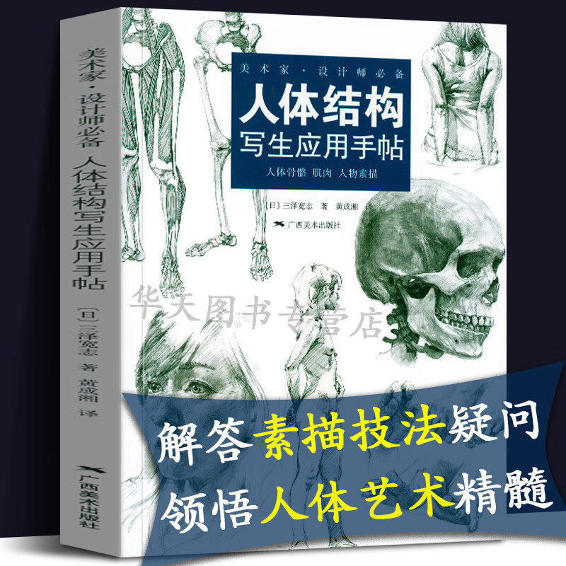 人体结构写生应用手帖三泽宽志 女生人体结