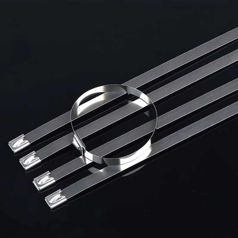 惠利得  不锈钢扎带8*200金属交通船用捆扎绑带线束100根/包自锁304钢