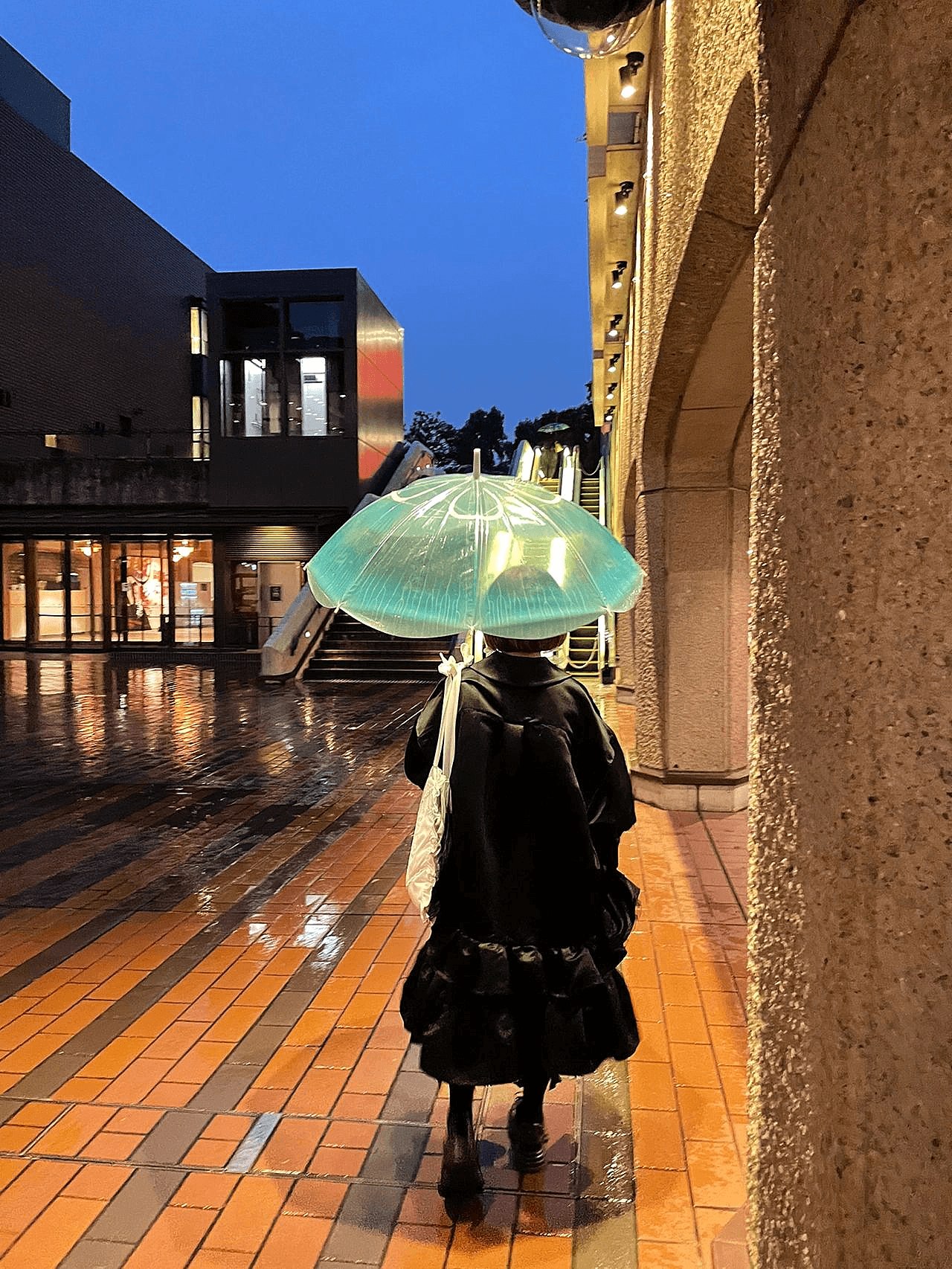 霜魄日系水母伞 芬理希梦幻水母透明雨伞女孩可爱日系高颜值晴雨两用 海月水母长柄雨伞 【升新款】 98limi