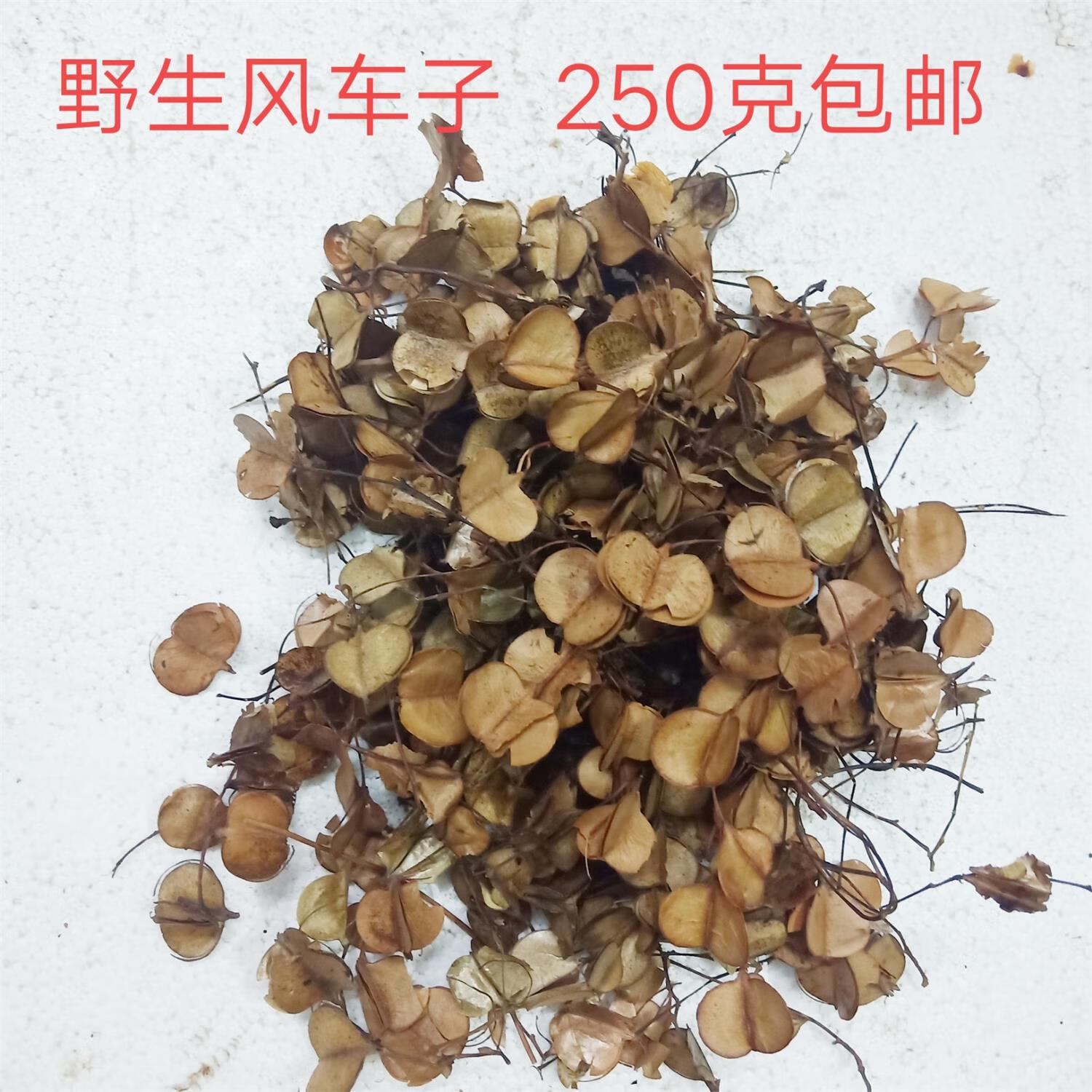 中药材野生风车叶 车儿风吹叶子耳响有异音风车子风车叶250克