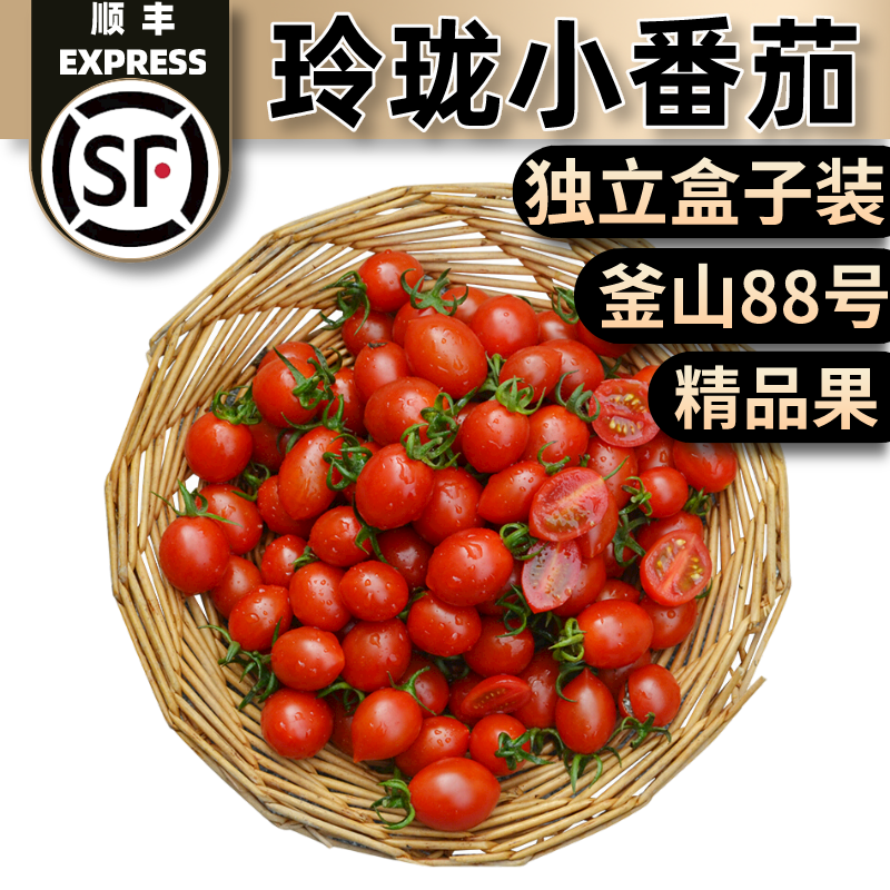 【顺丰】玲珑小番茄3斤 釜山88小蕃茄正宗圣女果超甜水果新鲜千禧小西红柿
