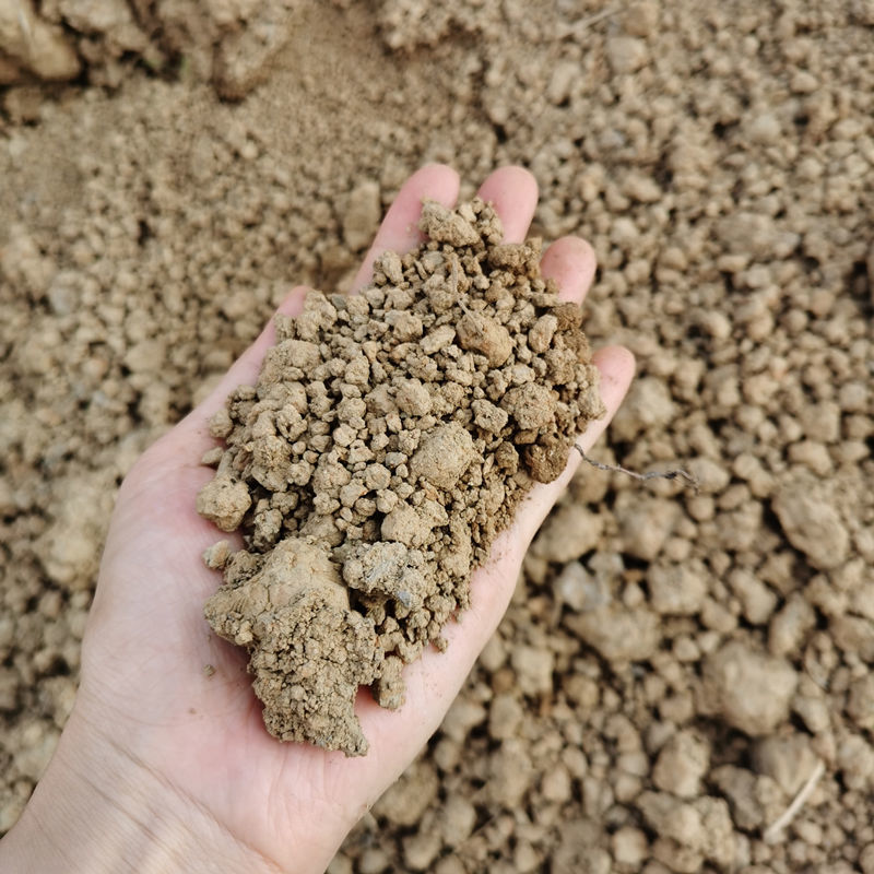 天然田园土种菜土种花土通用种植土营养土肥沃土泥土田土园土 100斤