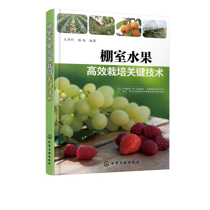 棚室水果高效栽培关键技术 大棚种植水果技术书籍设施管理棚室建设建造大棚水果种植技术书籍果农培训 棚室