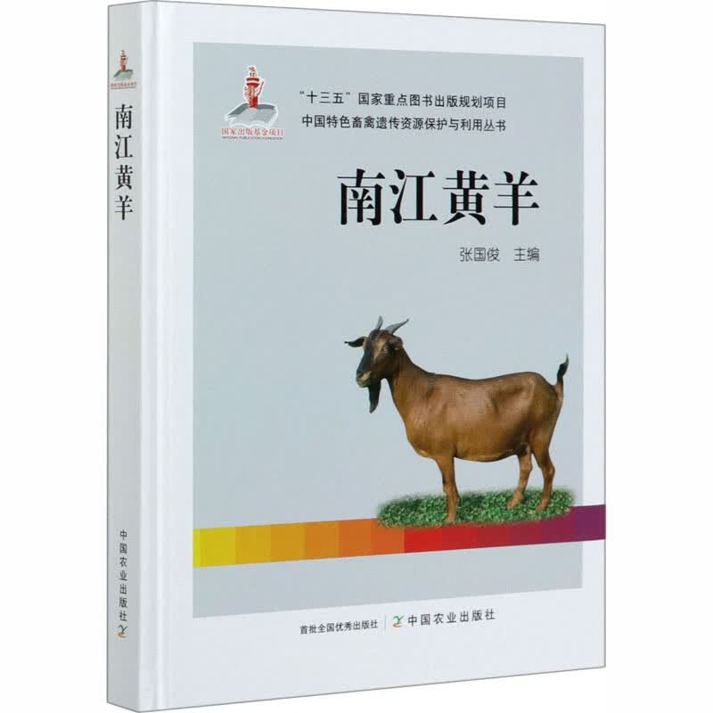 南江黄羊