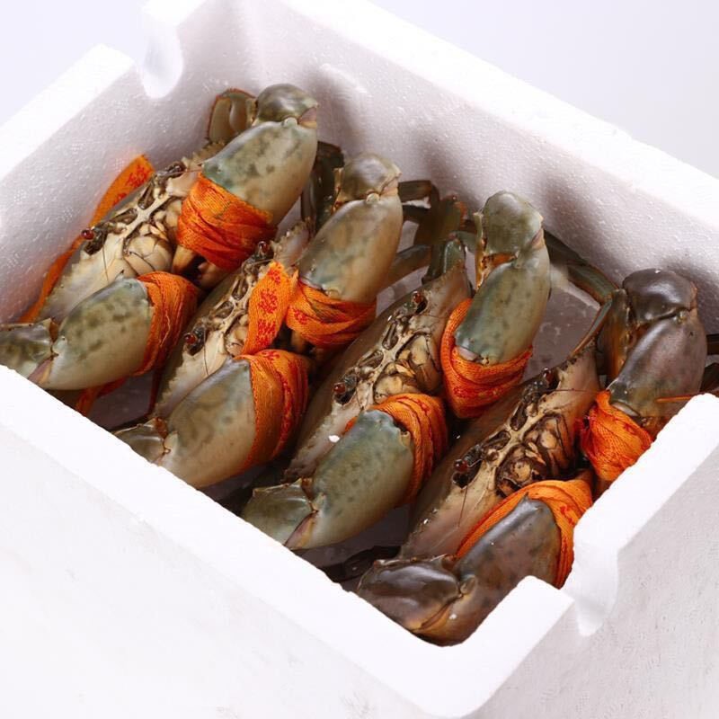【活鲜】特大青蟹鲜活 沢素湾 超大母膏蟹公蟹大青蟹肉蟹 其他规格可