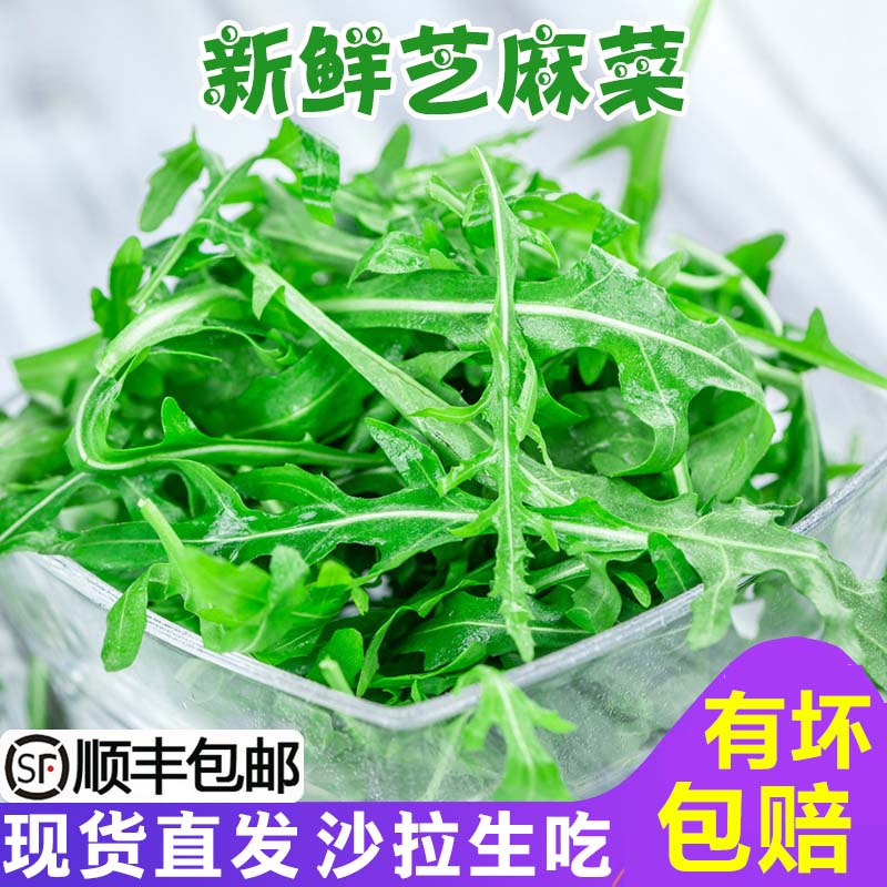 辰实【顺丰】芝麻菜新鲜 芝麻叶沙拉蔬菜食材 西餐生菜食用火箭菜 250