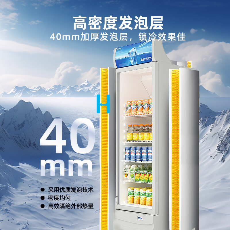 星星(XINGX) 316升 立式玻璃门展示柜冷柜 饮料陈列柜 商用冷藏冰箱(银灰色) LSC-316C