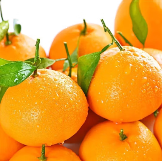 勇者无惧四川春见耙耙柑 新鲜应季爆浆爆汁纯甜柑橘整箱装年货水果礼盒 甄选果净重8斤单果80mm+