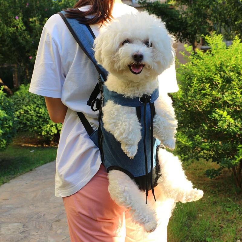 看看分析贝尼宠dogsbag2022宠物包真的好不，用了两个月感受告知