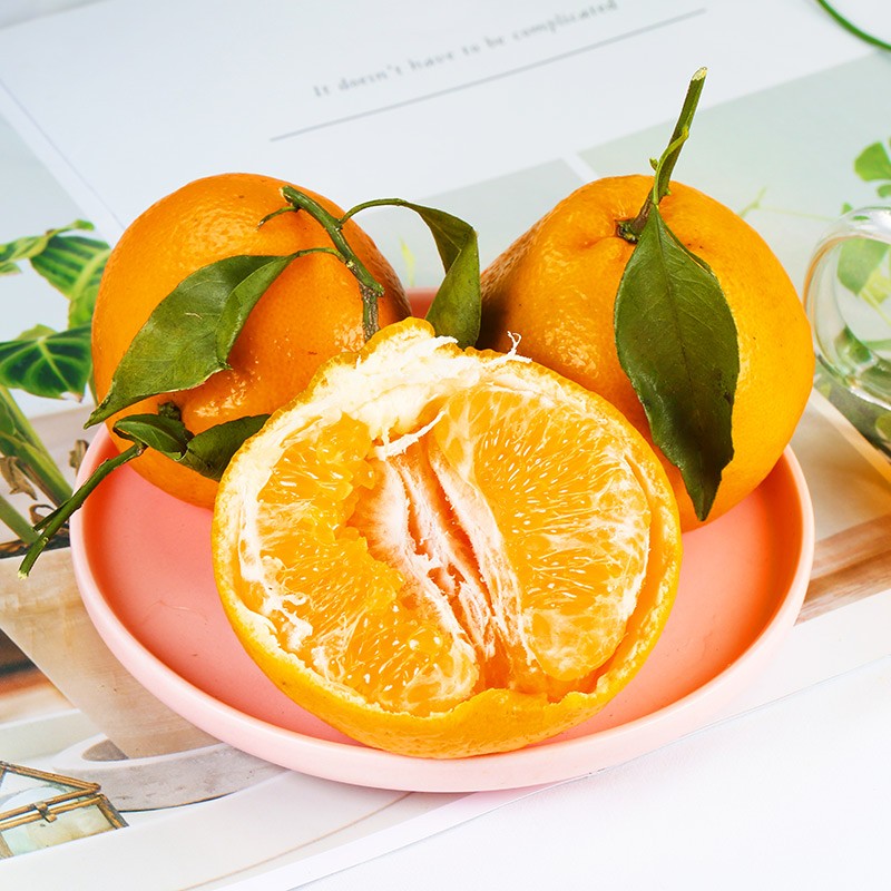 泰汇吃 【JD快递】四川春见耙耙柑 新鲜现摘橘子 应季时令水果柑橘 净4.5斤【70-75MM】2件合发8.5斤