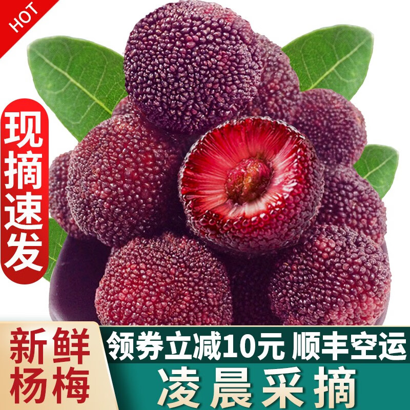 怎么查一款杨梅历史价格|杨梅价格走势