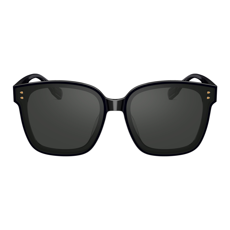 陌森Molsion眼镜2021年肖战明星同款太阳镜七夕礼物时尚潮流大框墨镜MS3018 C10镜框黑色