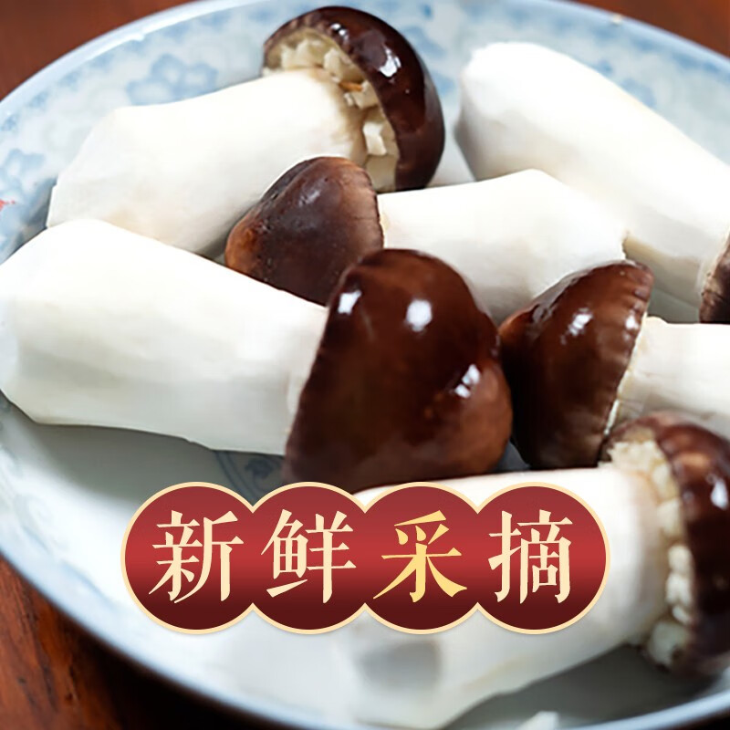 高原云品新鲜赤松茸 云南姬松茸 煲汤火锅食材 航空冷链发货 家宴美食 2000克