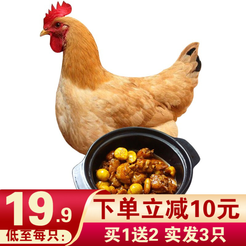 百亿补贴 买1只送2只 土鸡三黄鸡走地鸡笨鸡整鸡新鲜鸡肉 750g/只 生鲜