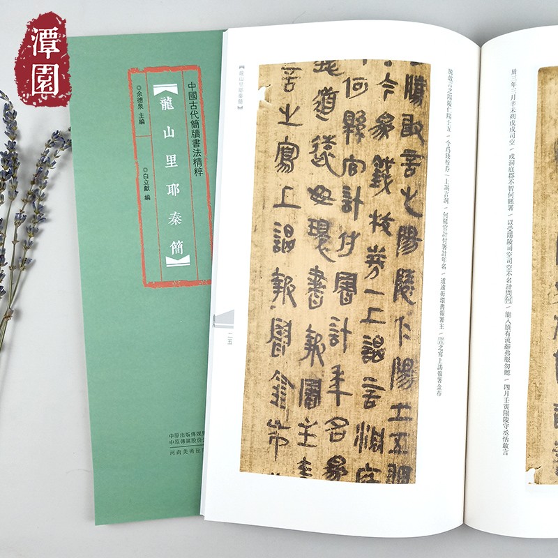 中国古代简牍书法精粹龙山里耶秦简毛笔书法秦代竹简练字高清放大本附
