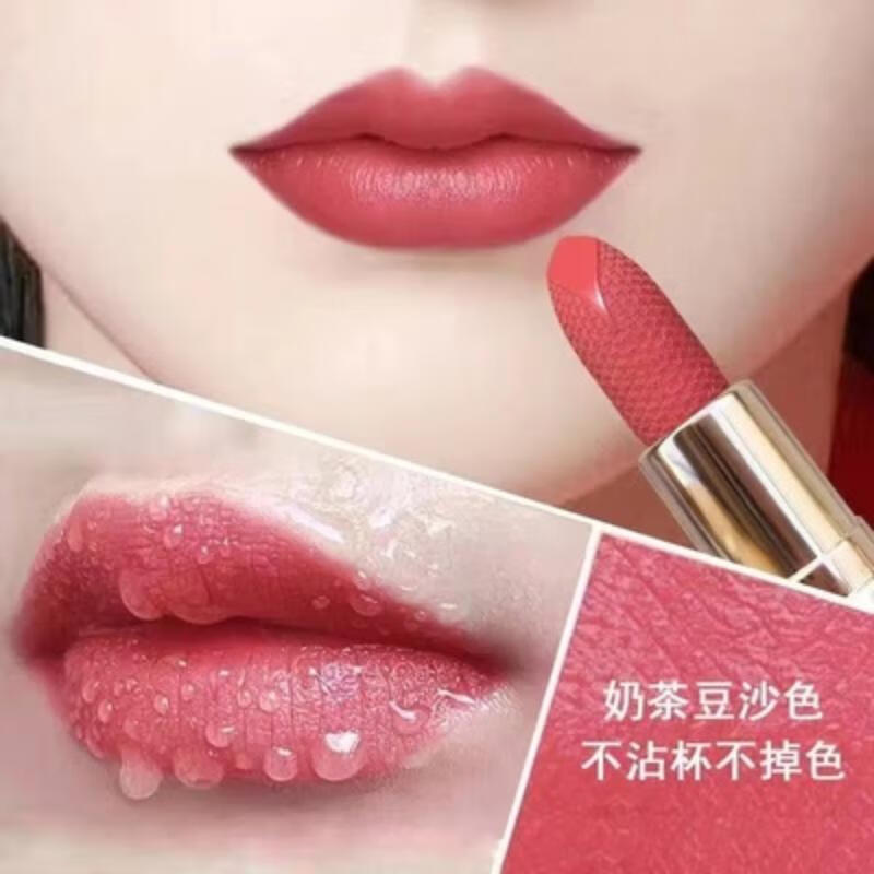 兰奕（LANYI）不掉色不沾杯豆沙色口红雨衣色持久保湿防水滋润哑光显白 504奶茶豆沙色