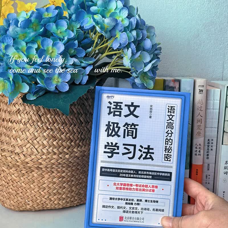 语文极简学习法原中高考语文命题人20年一线教育经验总结详情图