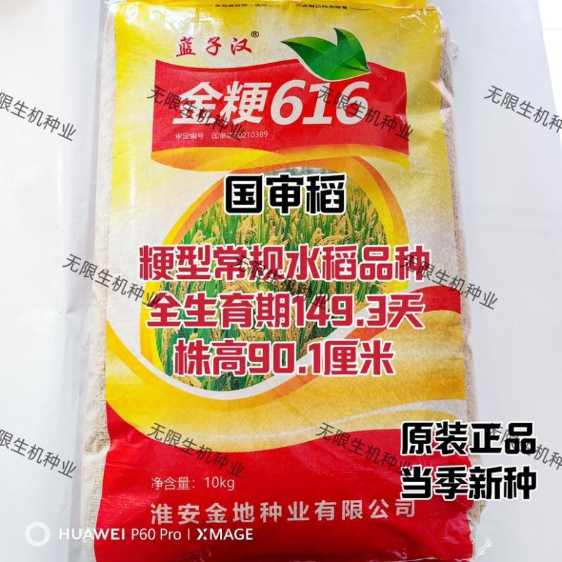 粳稻种子金粳616水稻种籽高产矮杆抗倒伏软香米国审稻种籽 可留种 金
