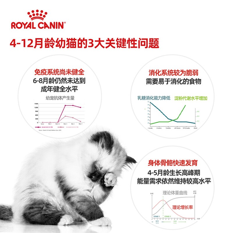 ROYAL CANIN 皇家猫粮 K36幼猫猫粮 通用粮 4-12月龄支持免疫系统 k36幼猫粮10kg