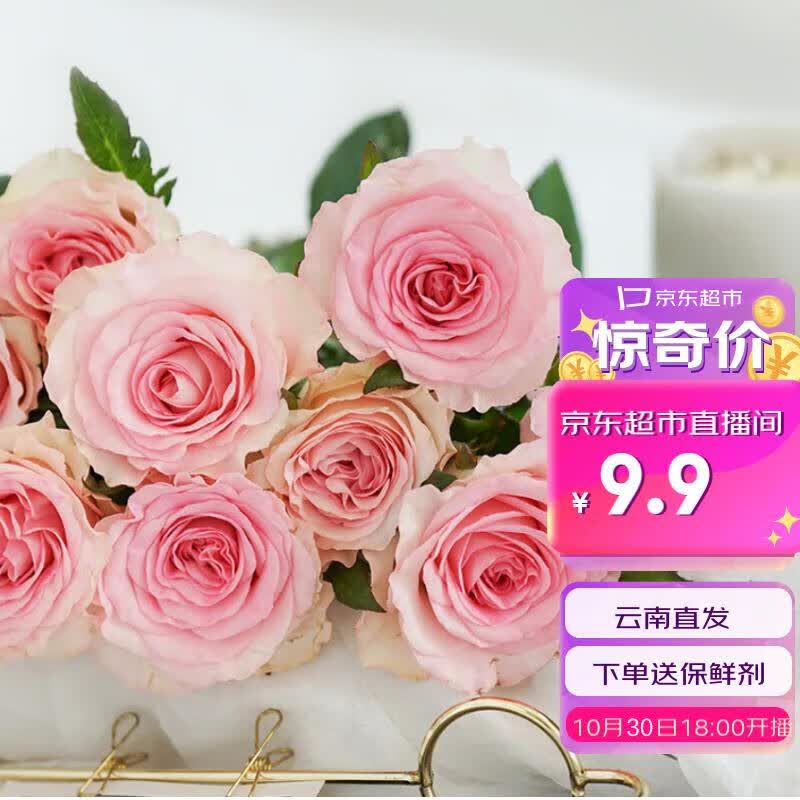 简值了玫瑰10枝随机色生活鲜花云南品质玫瑰鲜切花云南基地直发使用感如何?